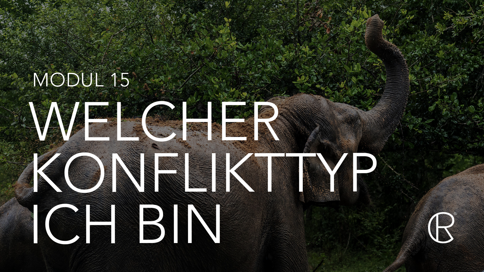 Conflict Revolution Journey - Modul 15: Welcher Konflikttyp bin ich?