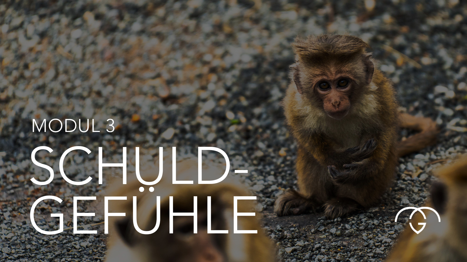 Mastering Guilt Masterclass - Modul 3: Verstehe, wie Schuld entsteht, um frei zu sein